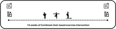 Combined Chair-Based Exercises Improve Functional Fitness, Mental Well-Being, Salivary Steroid Balance, and Anti-microbial Activity in Pre-frail Older Women